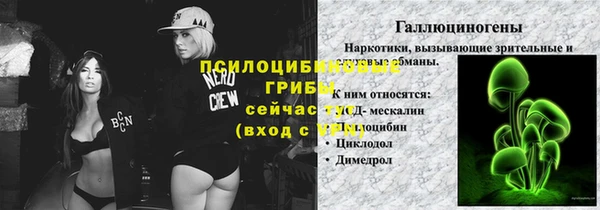 спиды Балахна