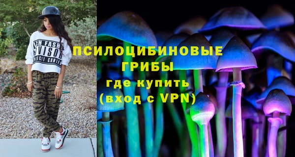 гашик Балабаново