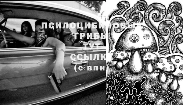 спиды Балахна