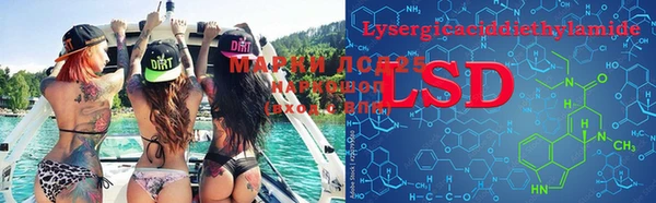 PSILOCYBIN Армянск