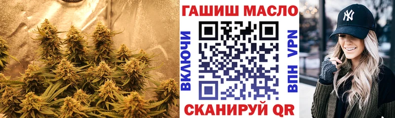 даркнет сайт  Бежецк  МЕГА вход  Дистиллят ТГК вейп с тгк 