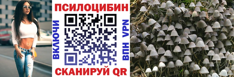 Галлюциногенные грибы Cubensis Бежецк
